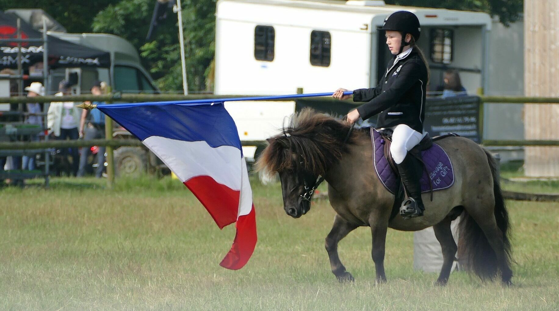 Harnais en H ou en Y, on vous explique ! - Au Bon Toutou