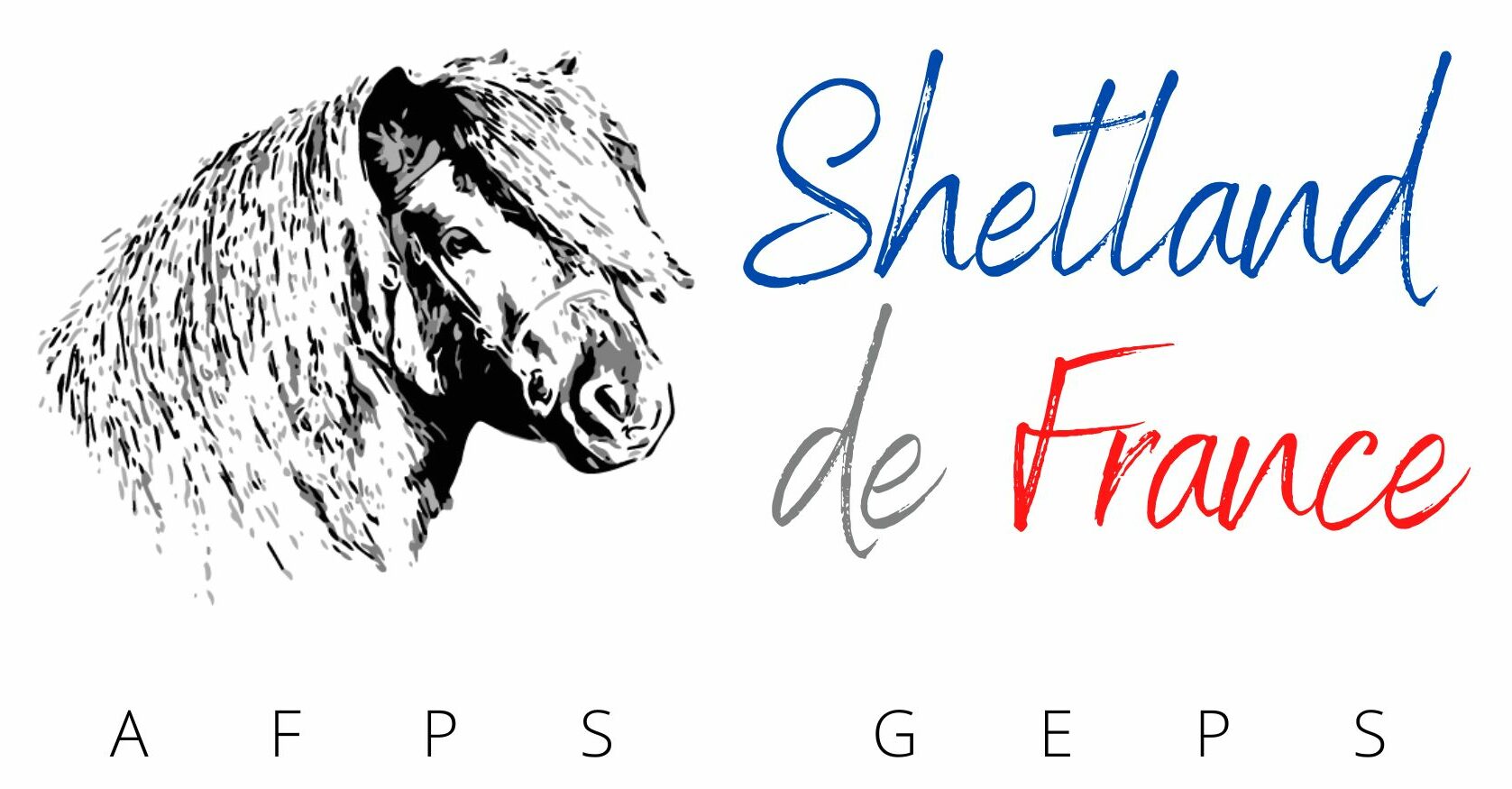 Poney shetland